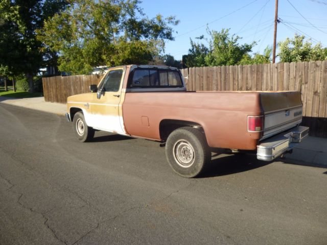 1984 Gold Chevrolet Other Pickups Standard Cab Pickup