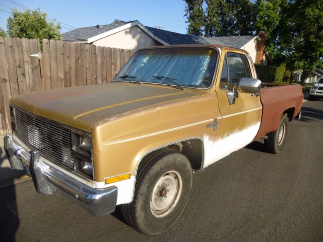 1984 Gold Chevrolet Other Pickups Standard Cab Pickup