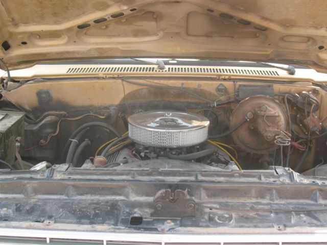 1984 Gold Chevrolet C-10 Standard Cab Pickup