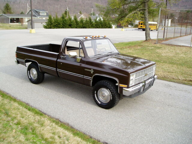 1984 Brown Chevrolet Other Pickups Regular  Cab Pickup