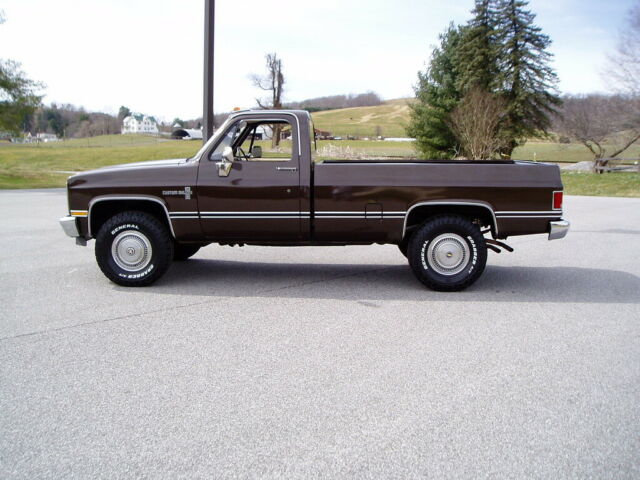 1984 Brown Chevrolet Other Pickups Regular  Cab Pickup