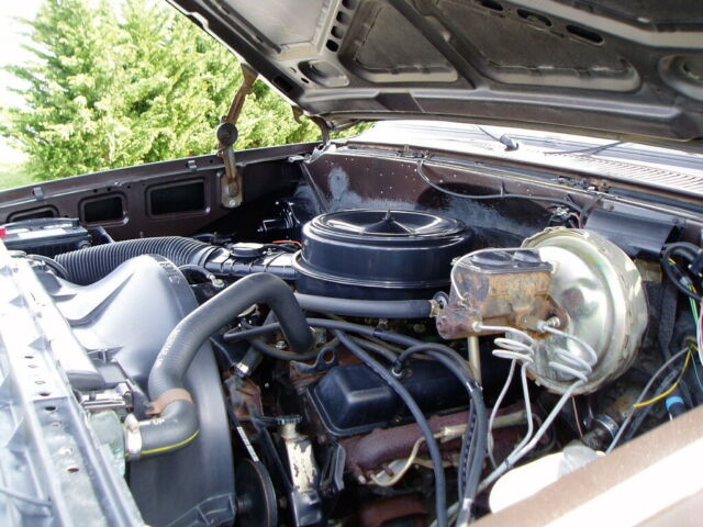 1984 Brown Chevrolet Other Pickups Regular  Cab Pickup
