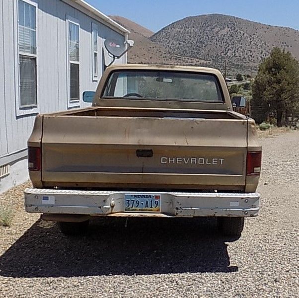 1984 Gold Chevrolet C/K Pickup 1500 Standard Cab Pickup