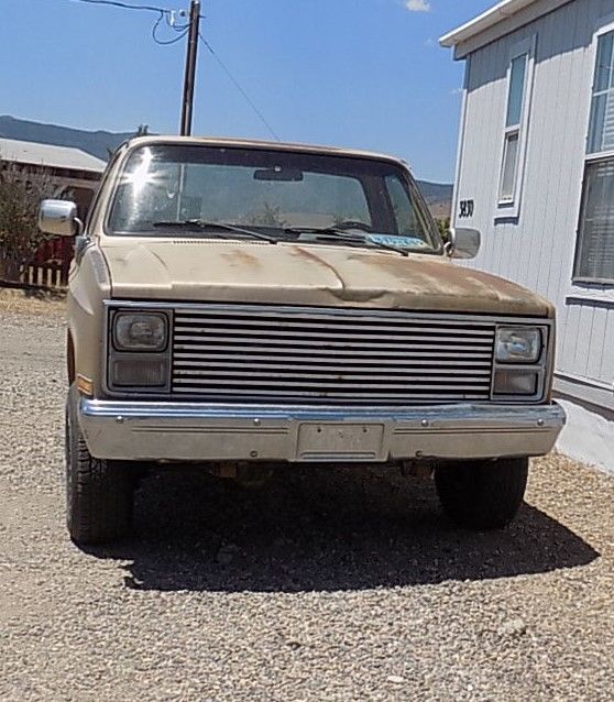 1984 Gold Chevrolet C/K Pickup 1500 Standard Cab Pickup