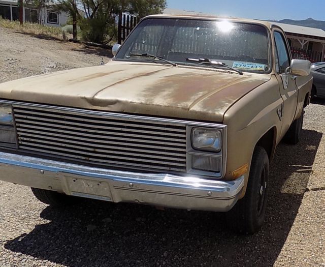 1984 Gold Chevrolet C/K Pickup 1500 Standard Cab Pickup