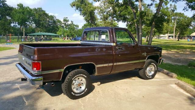 1984 Brown Chevrolet C/K Pickup 1500 Standard Cab Pickup