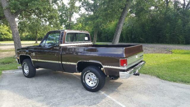 1984 Brown Chevrolet C/K Pickup 1500 Standard Cab Pickup