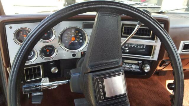 1984 Brown Chevrolet C/K Pickup 1500 Standard Cab Pickup