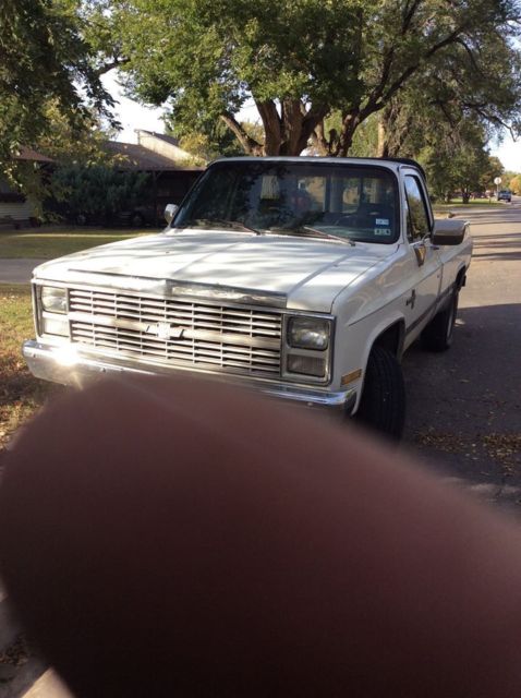 1984 Green Chevrolet Other Pickups Standard Cab Pickup