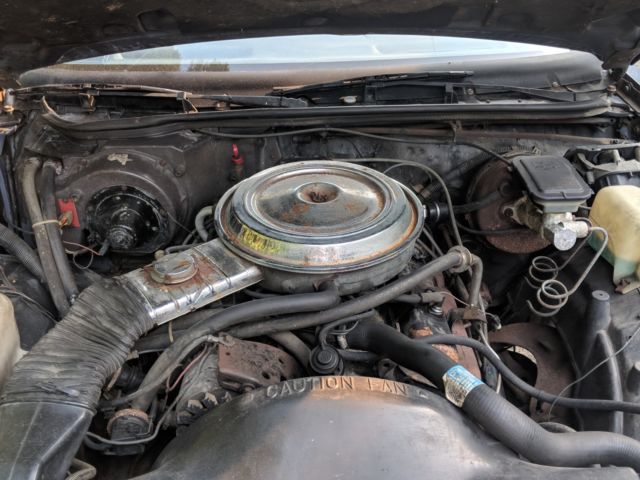 1984 Blue Chevrolet Monte Carlo Sedan