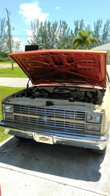 1984 Yellow Chevrolet C-10 Standard Cab Pickup