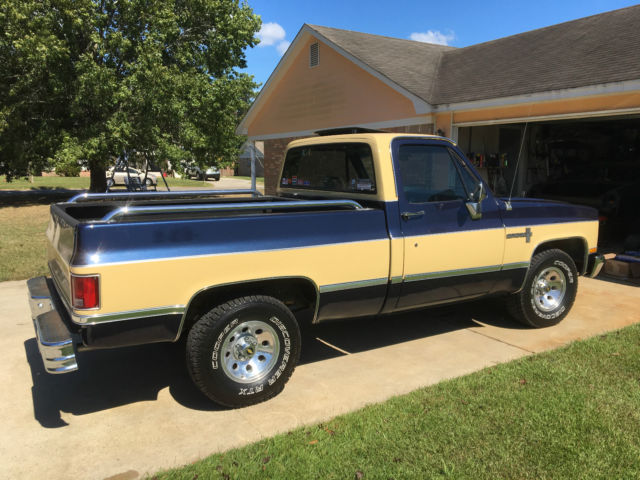 1984 Blue Chevrolet C-10 Standard Cab Pickup