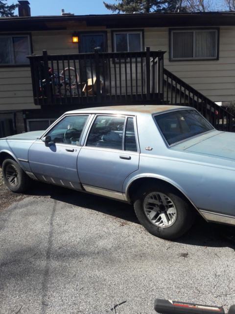 1984 Blue Chevrolet Capriceold Sedan