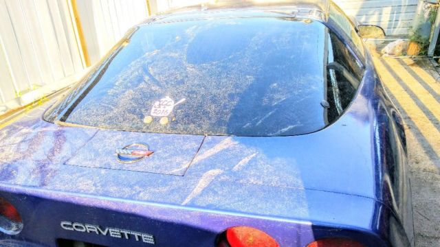 1984 Blue Chevrolet Corvette Coupe