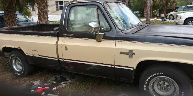 1984 Brown Chevrolet C-10 Standard Cab Pickup