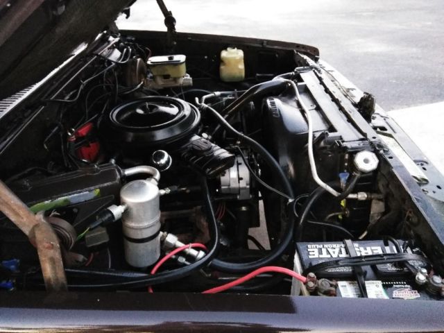 1984 Brown Chevrolet C-10 Standard Cab Pickup