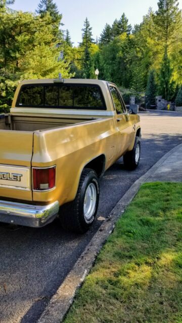 1984 Gold Chevrolet Silverado 1500 Standard Cab Pickup