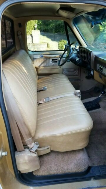 1984 Gold Chevrolet Silverado 1500 Standard Cab Pickup