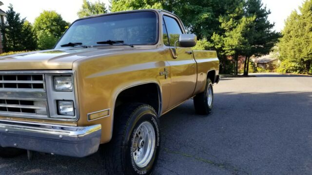 1984 Gold Chevrolet Silverado 1500 Standard Cab Pickup