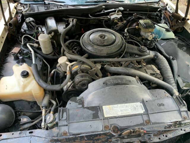 1984 White Oldsmobile Eighty-Eight Coupe