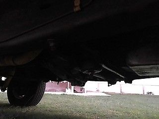 1984 Copper/White Ford Bronco SUV