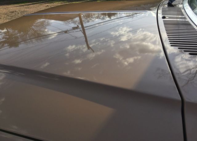 1984 Walnut Metallic and Light Desert Tan (original paint) Ford Bronco