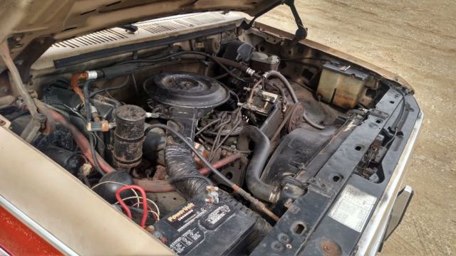 1984 Tan Ford F-150 Standard Cab Pickup