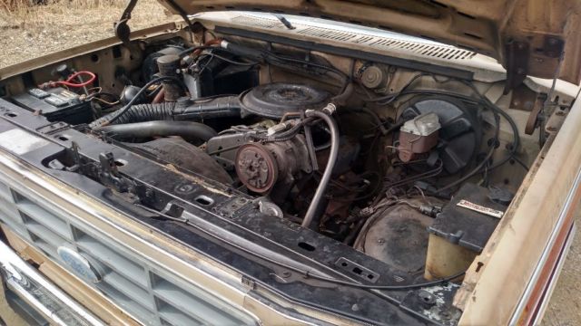 1984 Tan Ford F-150 Standard Cab Pickup