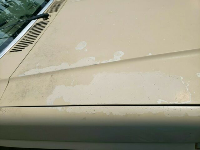 1984 Brown Ford F-150 Extended Cab Pickup