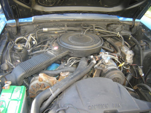 1984 Blue Ford Mustang Convertible