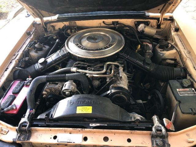 1984 Tan Ford Mustang Convertible