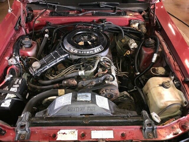 1984 Red Ford Thunderbird Sedan