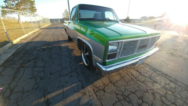 1984 Synergy Green silver metallic Chevrolet C-10 Standard Cab Pickup