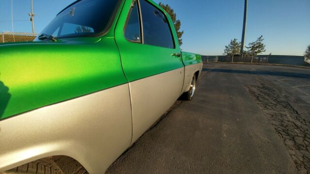 1984 Synergy Green silver metallic Chevrolet C-10 Standard Cab Pickup