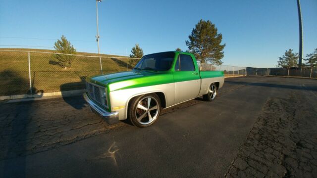 1984 Synergy Green silver metallic Chevrolet C-10 Standard Cab Pickup