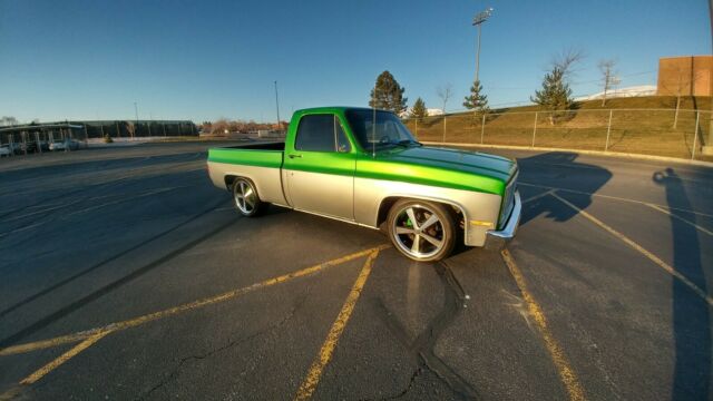1984 Synergy Green silver metallic Chevrolet C-10 Standard Cab Pickup