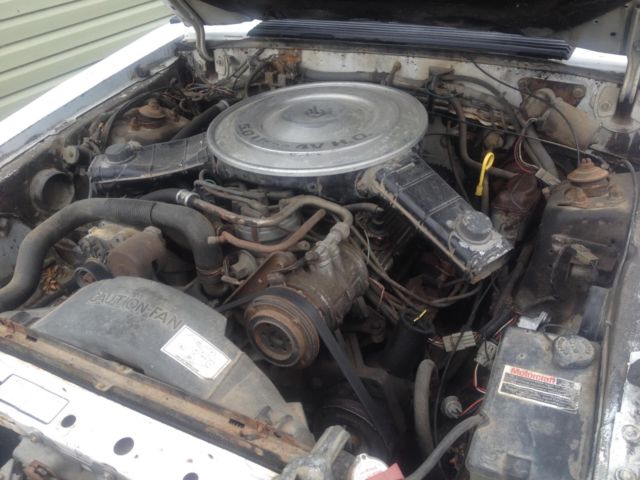 1984 White Ford Mustang Coupe