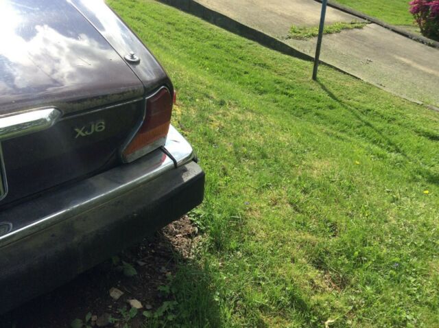 1984 marroon Jaguar XJ6