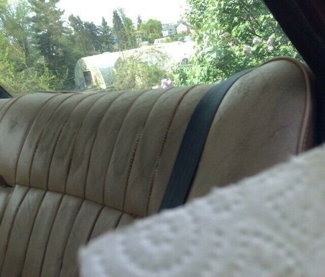 1984 marroon Jaguar XJ6