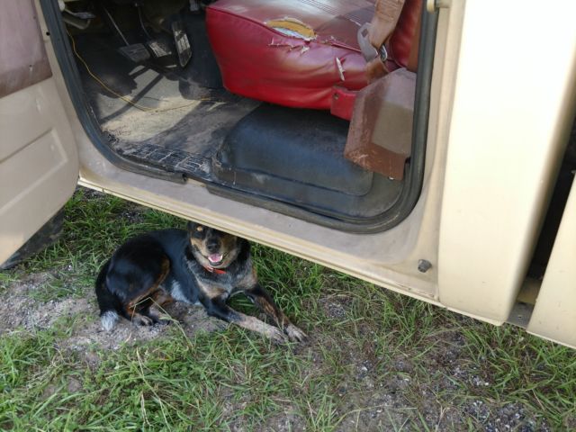 1984 Chevrolet Other Pickups Long Bed