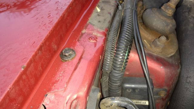 1984 Maroon Ford Mustang