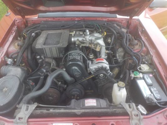 1984 Medium Canyon Red Ford Mustang Hatchback