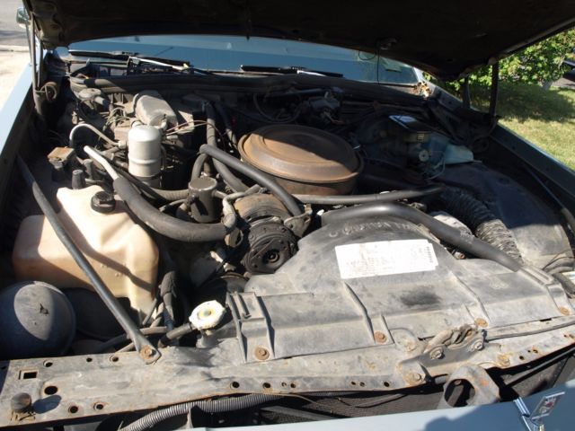 1984 Gray Oldsmobile Custom Cruiser Station Wagon