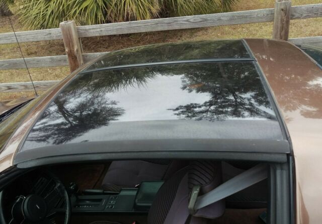 1984 Brown Chevrolet Camaro Coupe