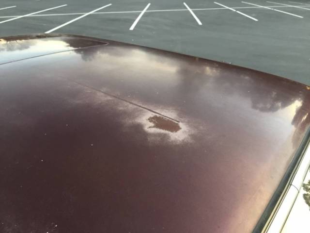 1985 Burgundy BMW 5-Series Sedan