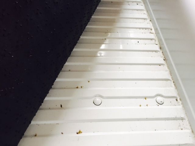 1985 White Chevrolet C-10 Cab & Chassis