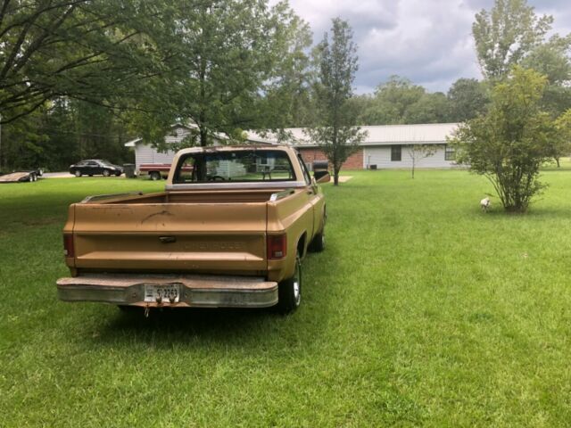 1985 Gold Chevrolet C-10 Pickup