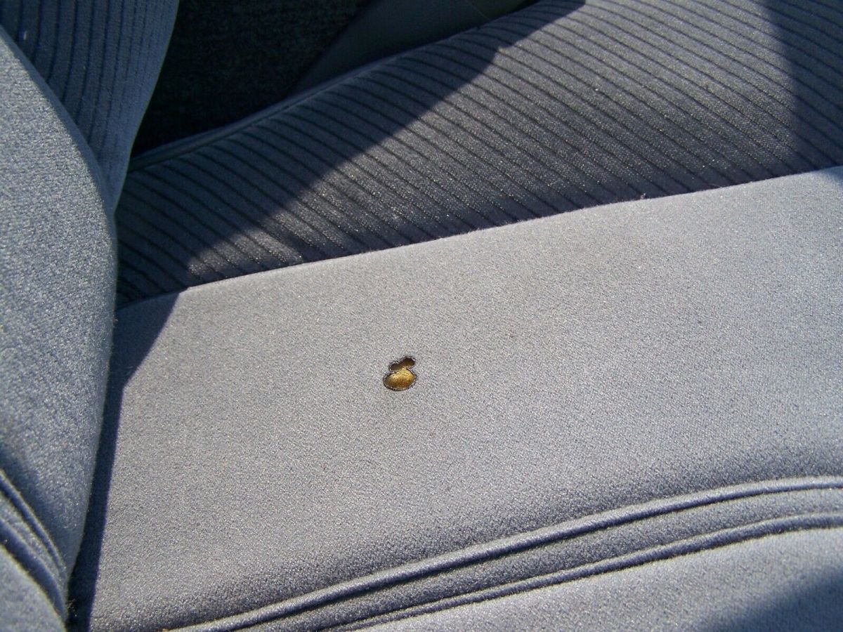 1985 Blue Chevrolet Camaro Coupe