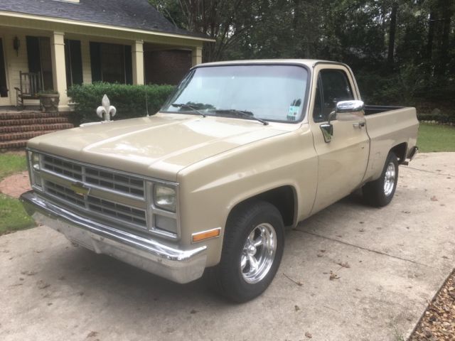 1985 Tan Chevrolet C-10 Standard Cab Pickup
