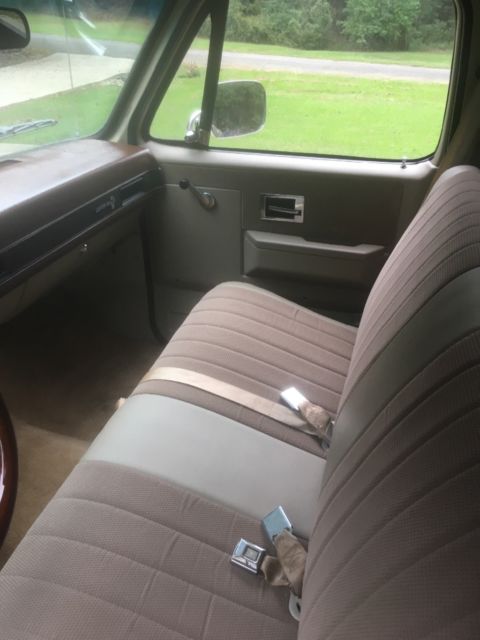 1985 Tan Chevrolet C-10 Standard Cab Pickup